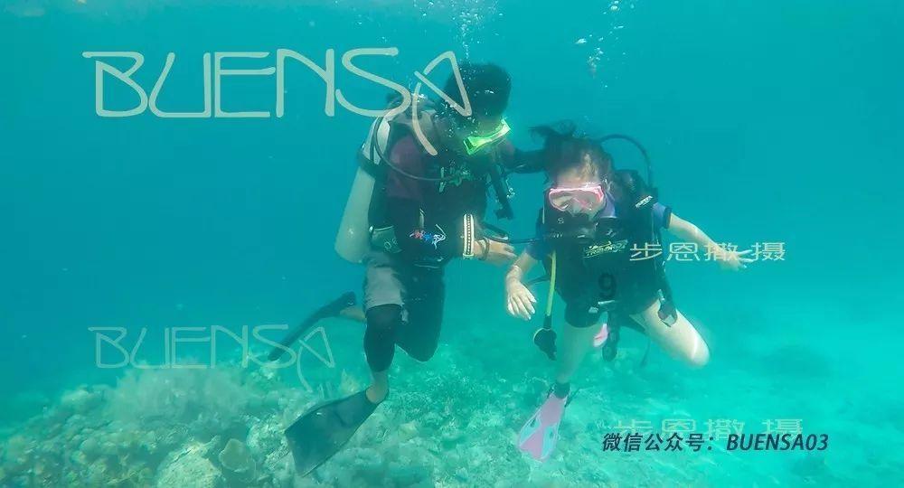活动 | 灯塔专业版2024春节档票房竞猜!